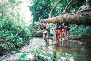 BIB: 
                            <button type="button" onclick="openModal(25450624)" class="btn btn-primary btn-sm float-right btn-popup" data-toggle="modal" data-target=".modal-high-quality">
                        <i class="fas fa-shopping-cart"></i> Add to Cart
                    </button>
                                            <button type="button" onclick="isThisMe(25450624, true)" class="btn btn-success btn-sm float-right btn-popup btn-isme hidden" data-toggle="tooltip" data-placement="bottom" title="นี่คือรูปของคุณใช่ไหม คลิกที่นี่เพื่อเอาเข้าอัลบั้ม">
                        <i class="fas fa-plus"></i> Add to album
                    </button>
                    <button type="button" onclick="isThisMe(25450624, false)" class="btn btn-warning btn-sm float-right btn-popup btn-isnotme hidden">
                        <i class="fas fa-ban"></i> Remove from album
                    </button>